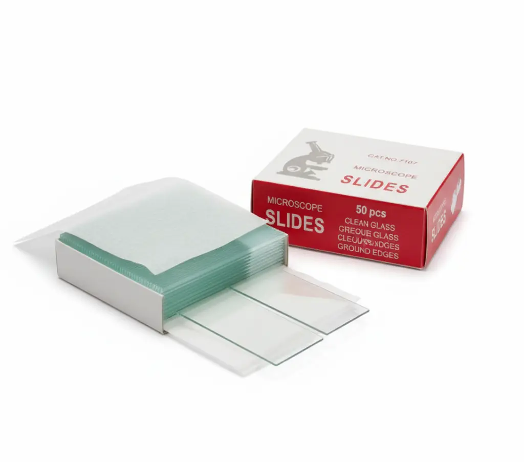 [HS2042] SLIDES PLAIN